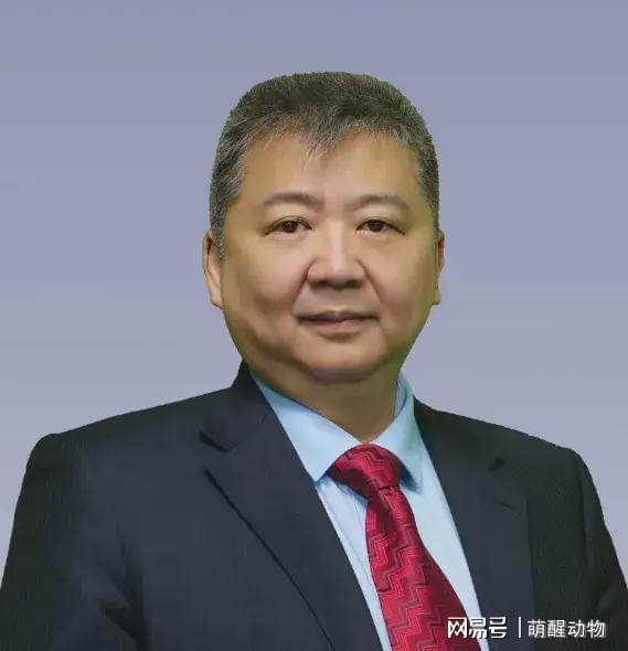 张捷微博爆料事件视频,揭秘背后真相与争议