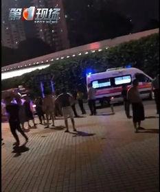 深圳小朋友爆料事件最新,校园事件引发社会关注