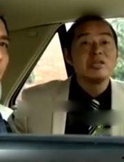 情战电视在线观看,情感纠葛，爱恨交织的视觉盛宴