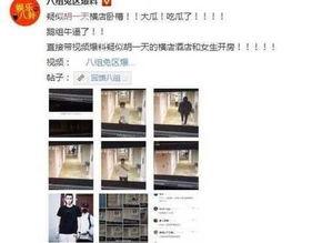 缅北爆料网站黑料视频大全,黑料视频大全深度解析