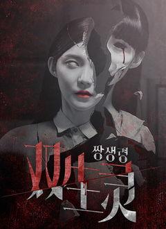 双生灵 在线观看,穿越时空的奇幻之旅