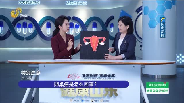 韩网电台爆料新闻视频,最新新闻视频内容大揭秘