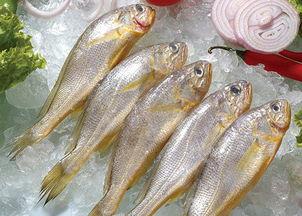 小黄鱼爆料新闻视频大全,新闻视频大全精彩瞬间汇总