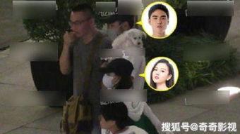 网友爆料奇奇事件视频,网友热议背后的真相揭秘