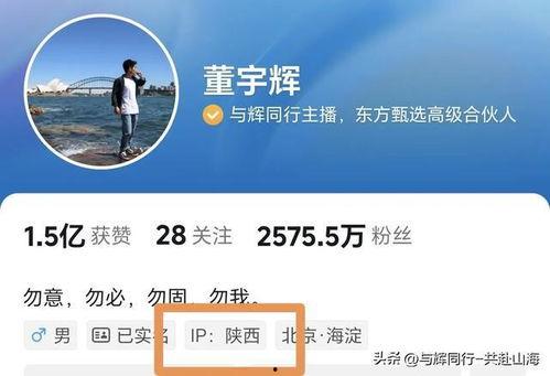 宇辉爆料小孙子视频大全,小孙子萌态视频大盘点