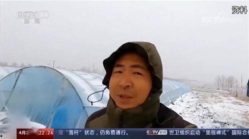 农民网红爆料事件视频播放,揭秘农村生活现状