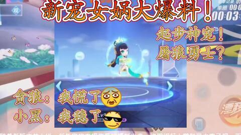 宠物女娲爆料视频大全集,揭秘萌宠背后的神奇故事