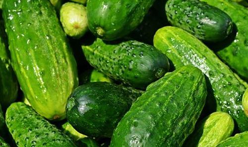 黄瓜农药爆料方法图片视频,图片视频曝光农药爆料方法