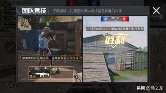 爆料和平精英视频下载,独家爆料带你领略游戏幕后精彩瞬间