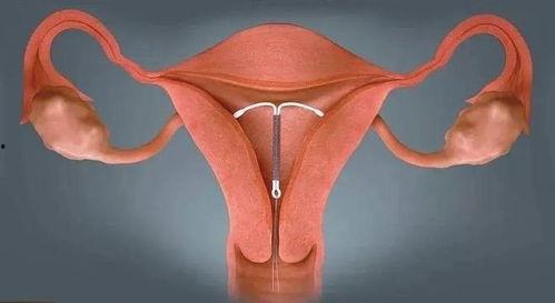 上环视频在线观看,在线观看上环视频全解析