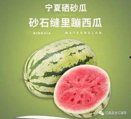 网红界的吃瓜是谁,揭秘娱乐圈幕后真相