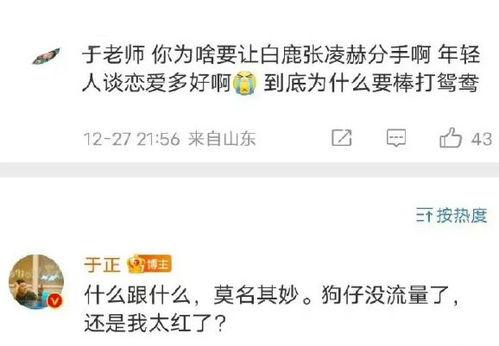 圈内爆料白鹿张凌赫视频,甜蜜互动引网友热议
