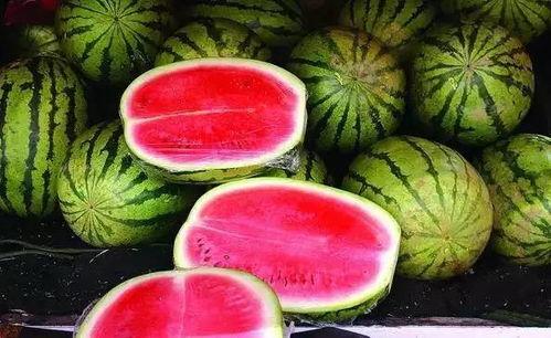 吃瓜网每日大赛 反差大赛51,反差萌十足！吃瓜网每日大赛51反差大赛精彩瞬间大盘点