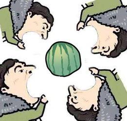 吃瓜群,网络社交的趣味与争议