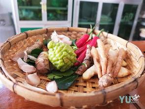 娱乐吃瓜酱柬埔寨,揭秘“吃瓜酱”背后的故事