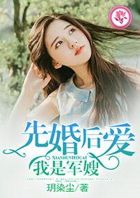 娱乐吃瓜酱妻子小说,妻子背后的秘密风云
